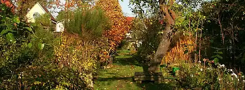 Herbstimpressionen im Pfarrgarten Saxdorf (November 2014)