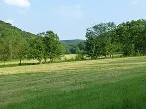 Das untere Pferdebachtal südöstlich von Heiligenstadt