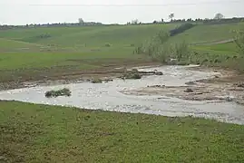 Renaturiert unterhalb von Pfersdorf, Nähe A 71