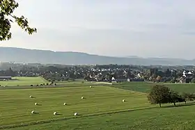 Pfyn