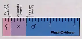 Phall-O-Meter: visuelle Darstellung der Längenunterscheidung von Klitoris und Penis bei Neugeborenen und des sogenannten inakzeptablen Bereichs. Das bedeutet, dass bei einer Länge von mehr als 3/8 und weniger als einem Inch Operationen an den Genitalien angeraten werden.