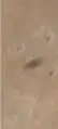 Schatten des Marsmonds Phobos, nördlich der Nanedi Valles