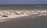 Wattenmeer