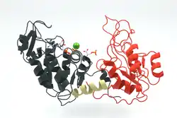Phosphoglyceratkinase