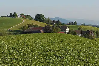 Hirzel Höhi vom Zimmerberg