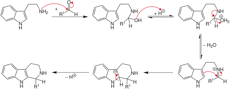 Mechanismus der Pictet-Spengler Reaktion