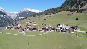 Pigniu