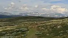 Der Pilgrimsleden mit der Snøhetta im Hintergrund