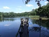 Pingsdorfer See