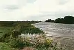 Pinnau unterhalb von Uetersen