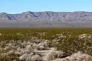 Blick vom Piute Valley auf die Piute Range