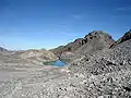 Wildsee