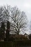 Schloss und Schlosspark