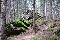 Gesteinsstapel aus Plattengneis (Öfen) sind in der mittleren Koralpe häufig