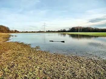 Pleckenbrinksee