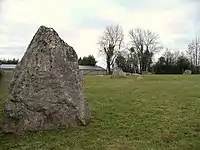 Steinreihe von Plumaudière
