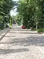 Gepflasterte Straße