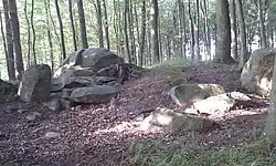 Großdolmen 3 Eingang