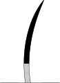 Haarfärbung bei Rauchfarbe (Smoke)