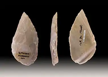 Spitze aus dem Moustérien
