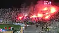 Dan-Păltinișanu-Stadion (2011)