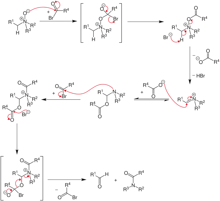 Mechanismus der Polonovski-Reaktion