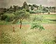 Pommiers à Éragny, automne