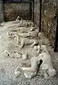 Bodendenkmal:Garten der Flüchtenden, Pompeji