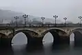 El puente del Burgo Alte Brücke