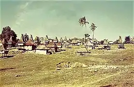 Tutuala, 1966