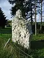 Menhir von Port-Mort