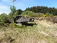 Portal Tomb von Murnells