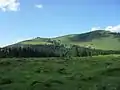 Postalm, Blick zu Thorhöhe und Thoralm
