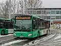 Das typische Stadtbus-Design in Graz