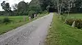 Fahrbahn über die Povls Bro
