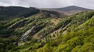 Powerscourt Deerpark und Powerscourt Waterfall mit  Djouce Mountain im Hintergrund