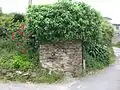 Pozo de Inselmo
