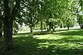 Lázaro-Cárdenas-Park
