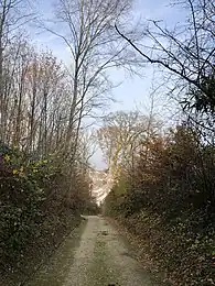 Die «Hohle Gasse»,Fundort des Faustkeils