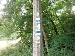 Markierung der sich kreuzenden grünen Hauptwege