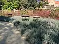 Duftgarten