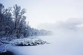 Der See im Winter