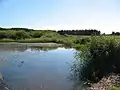 Weiher nahe Priddy