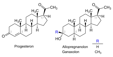 Progesteron, Allopregnanolon, Ganaxolon