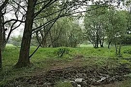 Landschaftsschutzgebiet am Saynbach