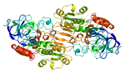 Alkoholdehydrogenase
