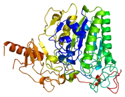 Arylsulfatase A
