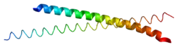 Cyclic AMP-dependent transcription factor ATF-4