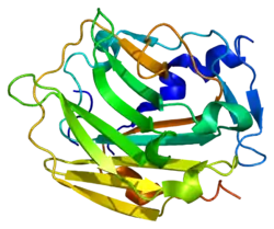 Kollagen Typ IX, alpha 1