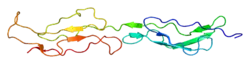 Complement receptor type 1